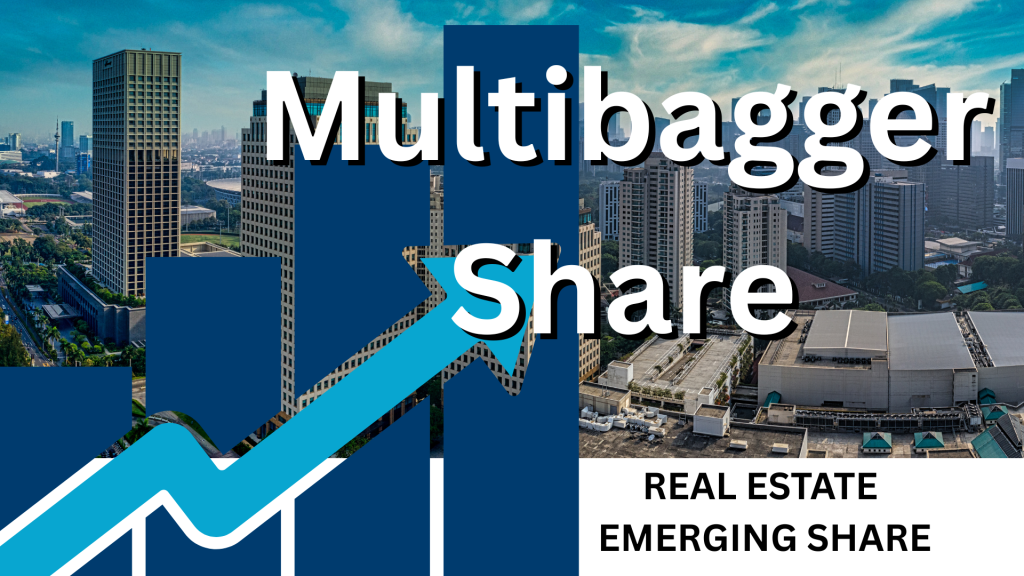 multibagger share that gave more than 100% return